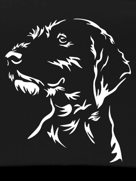 German Wirehaired Head "Black Edition"