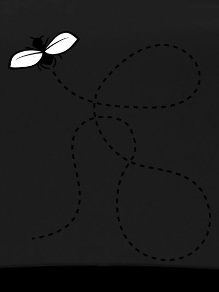 Dashed Line Fly