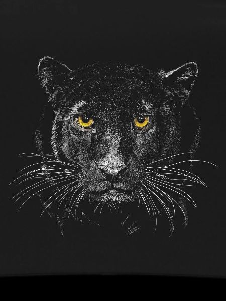 Panther