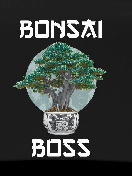 Bonsai Tree Meditation Gift