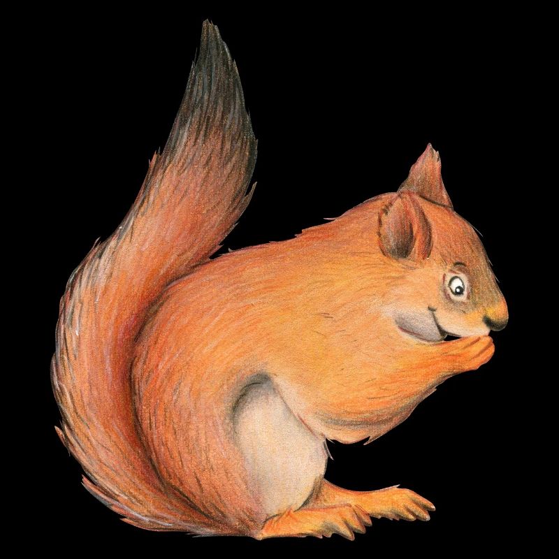 Eichhörnchen