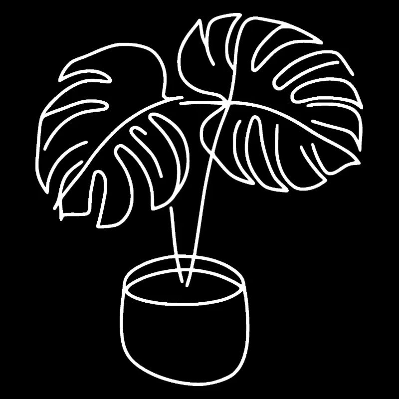 Monstera