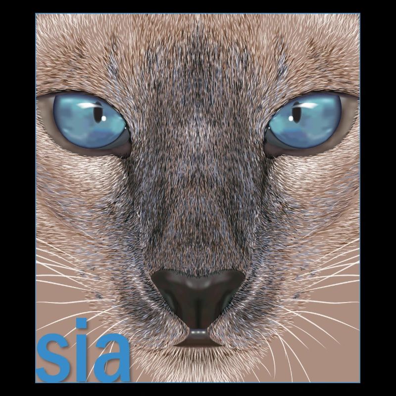 Siamese cat
