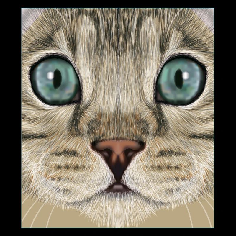 leopard cat