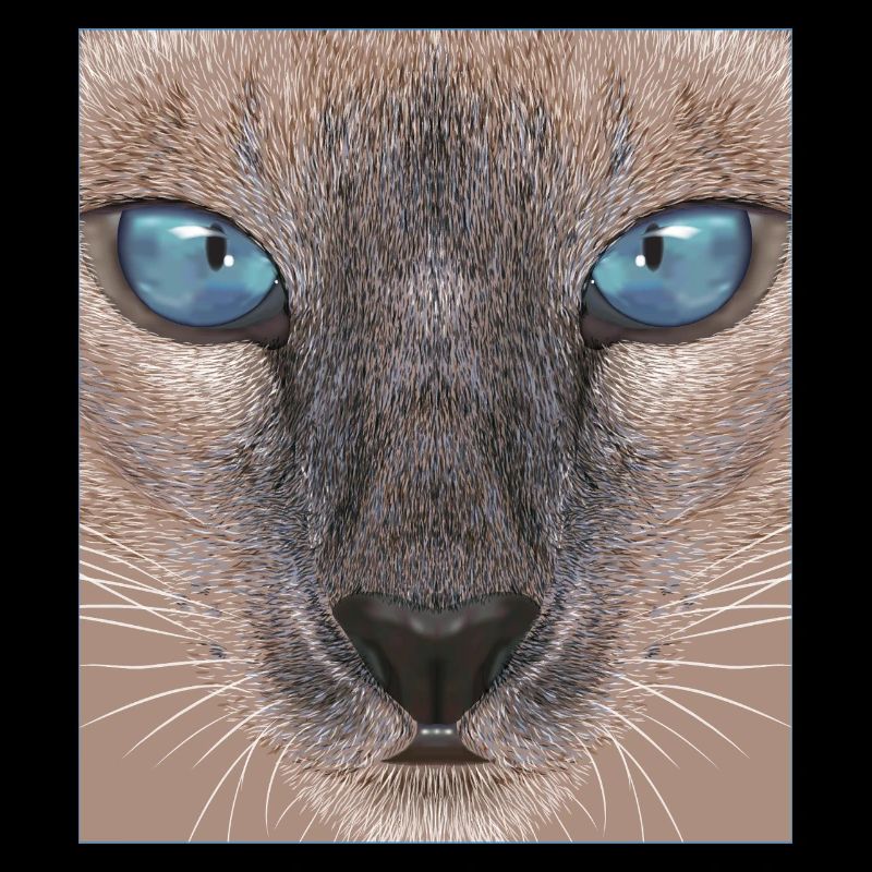 Siamese cat