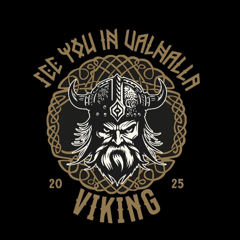 Valhalla Viking T-Shirt Pullover Hoodie