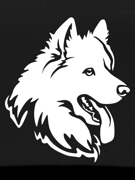 Samoyed Head "Black Edition"