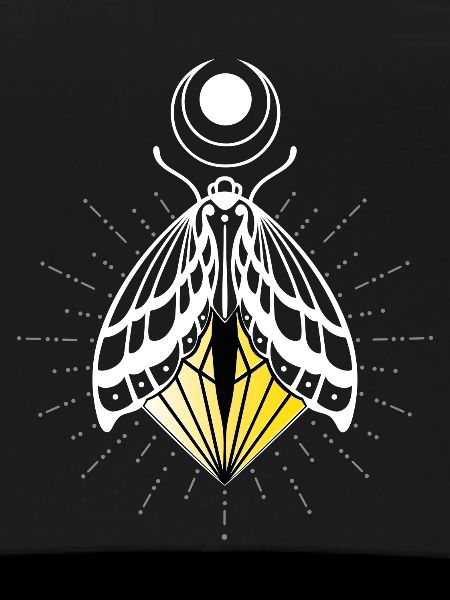 Firefly Moth Moth Moth