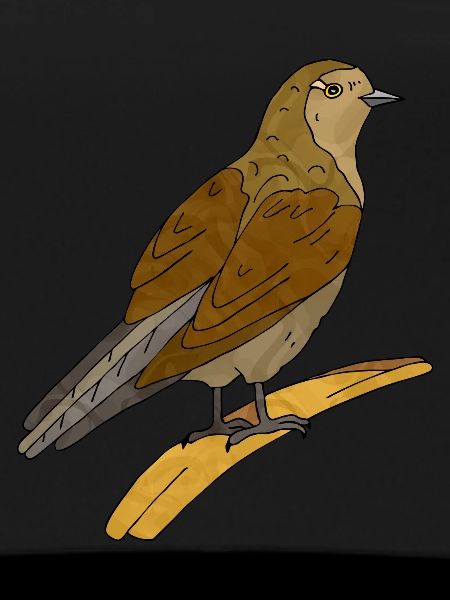 Oiseau