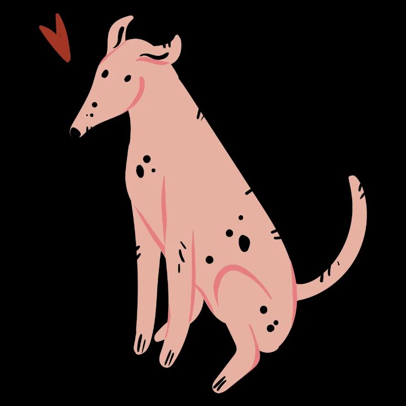 Hund