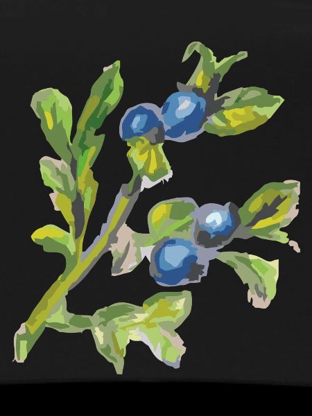 Blueberry 2