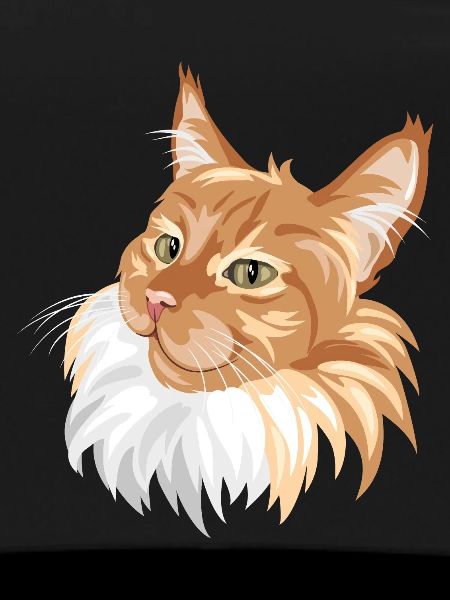 Ginger cat portrait