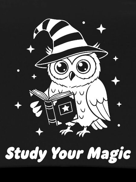 Magic owl learns magic