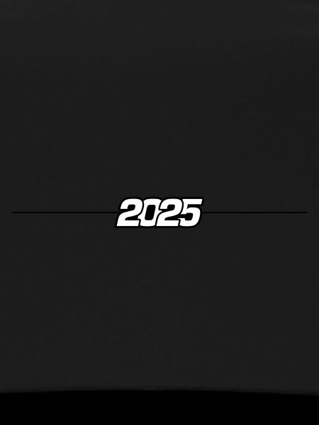2025 year