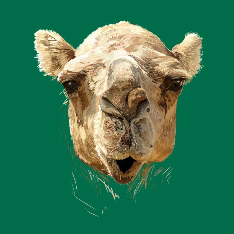 kamel