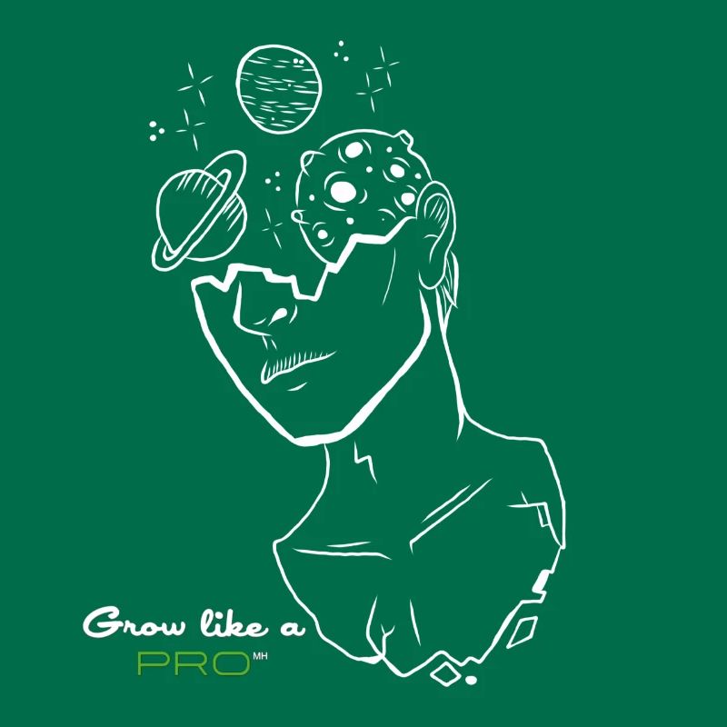 Spacy Grow comme un pro