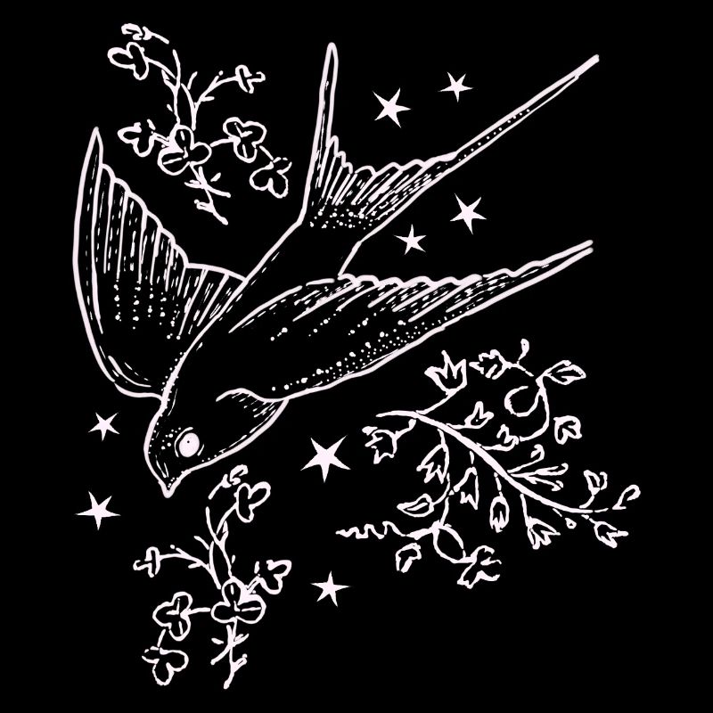 Swallow flight in star flight