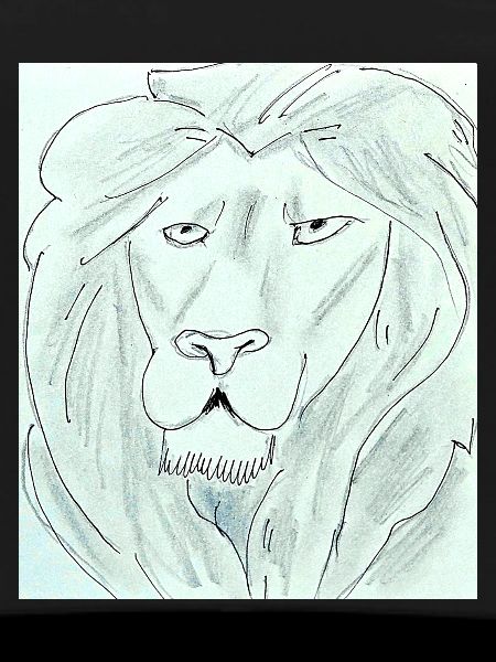 Pure Lion Head Drawing