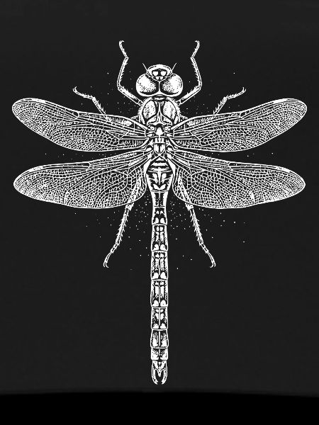 Moonlit Dragonfly Line Art