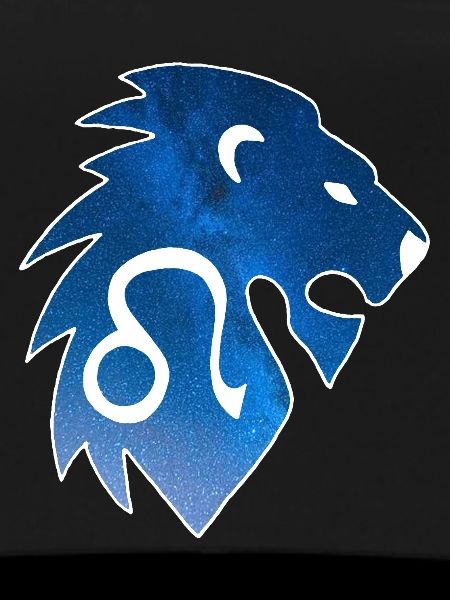 Lion et univers