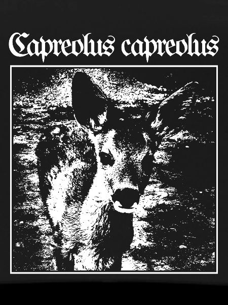 Capreolus capreolus