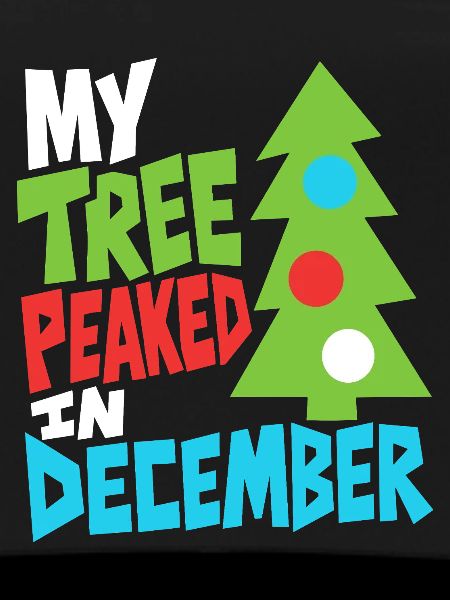 Weihnachtsbaum hatte im Dezember Hochsaison