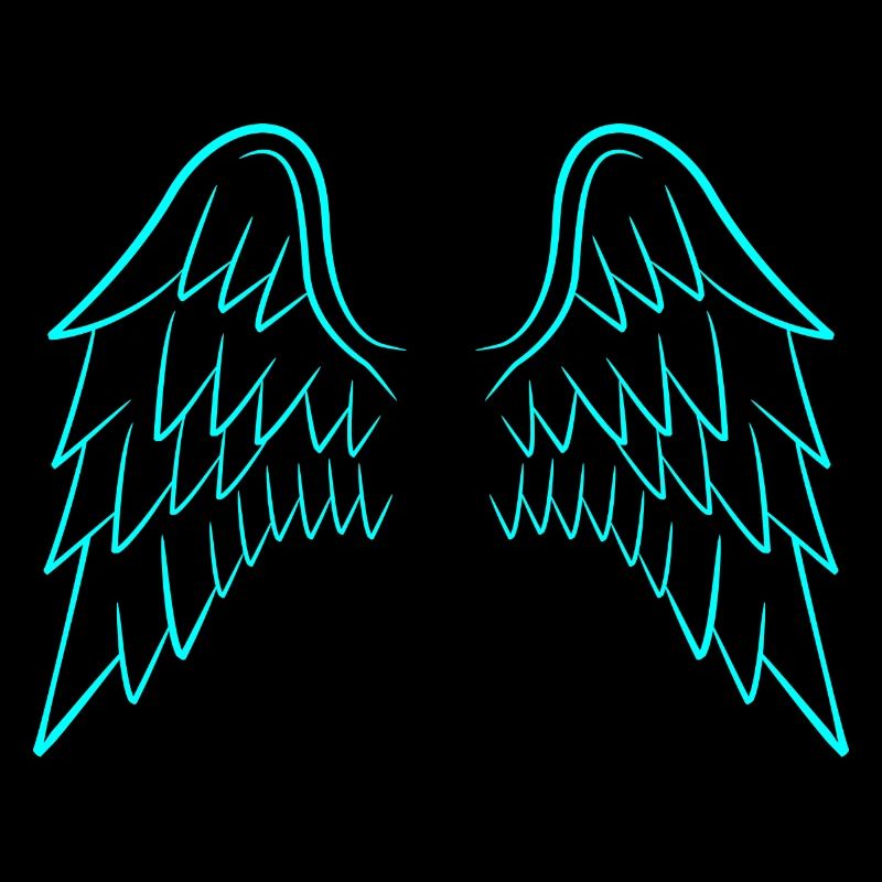 Ailes d'ange ailes