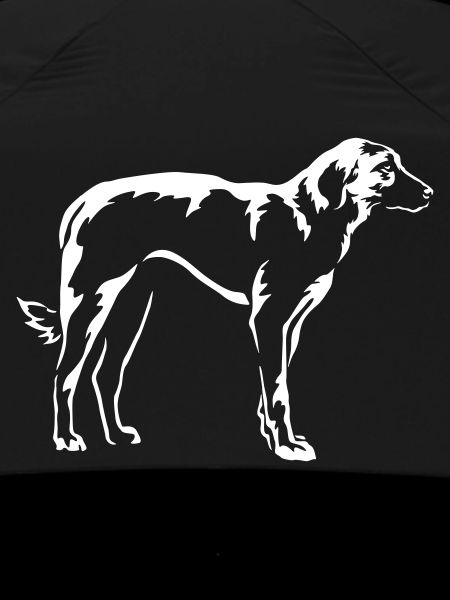 Kangal "Black Edition"