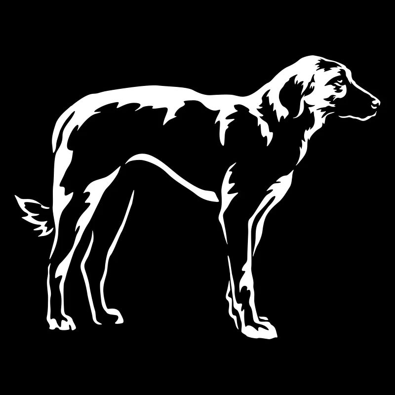 Kangal "Black Edition"