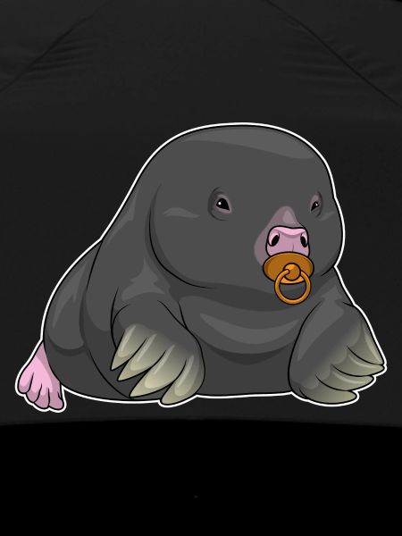 Mole Baby Pacifier