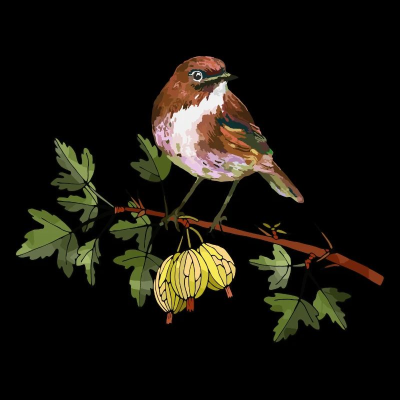 Oiseau coloré