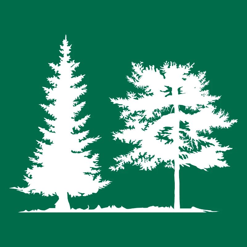 Tree, Spruce, Forest, Camping, Nature, Mixed Forest, Pine