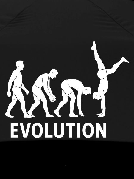 Calisthenics Evolution Fitness-Studio-Training