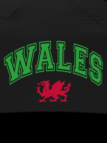 Wales Flag