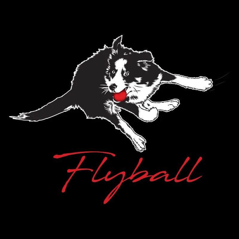 Flyball