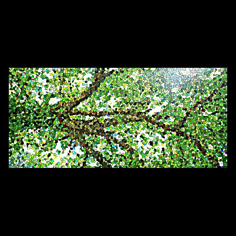 Les branches gracieuses d'un arbre