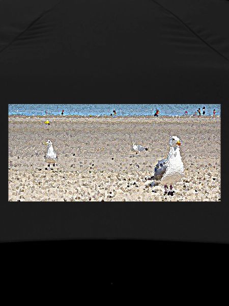 Gulls at the beach