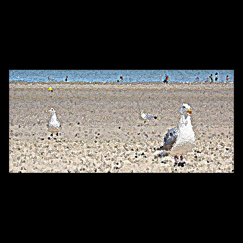 Möwen am Strand