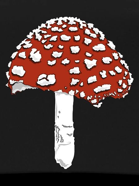 Champignon champignon amanite