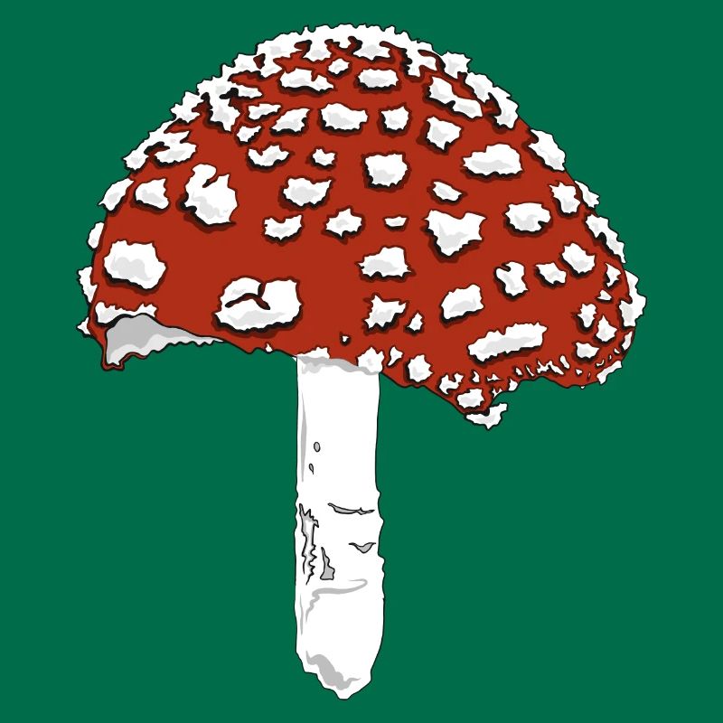 Toadstool toadstool amanita