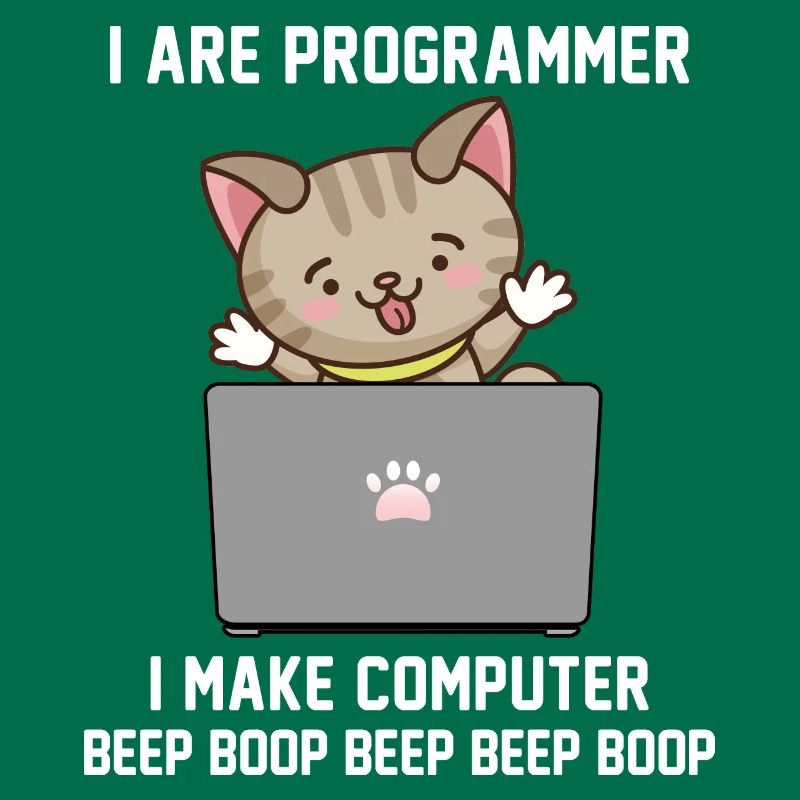 Programmierer