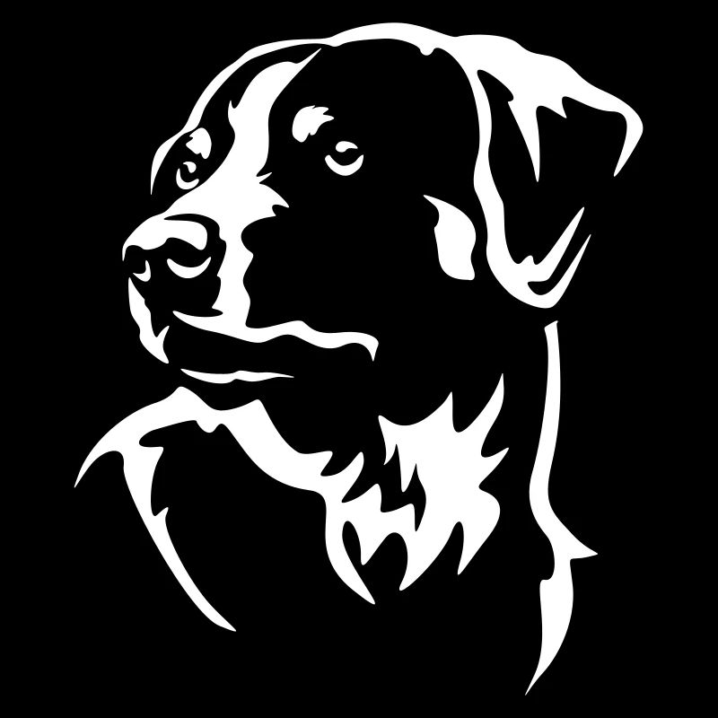 Tête de bouvier d’Appenzell « Black Edition »