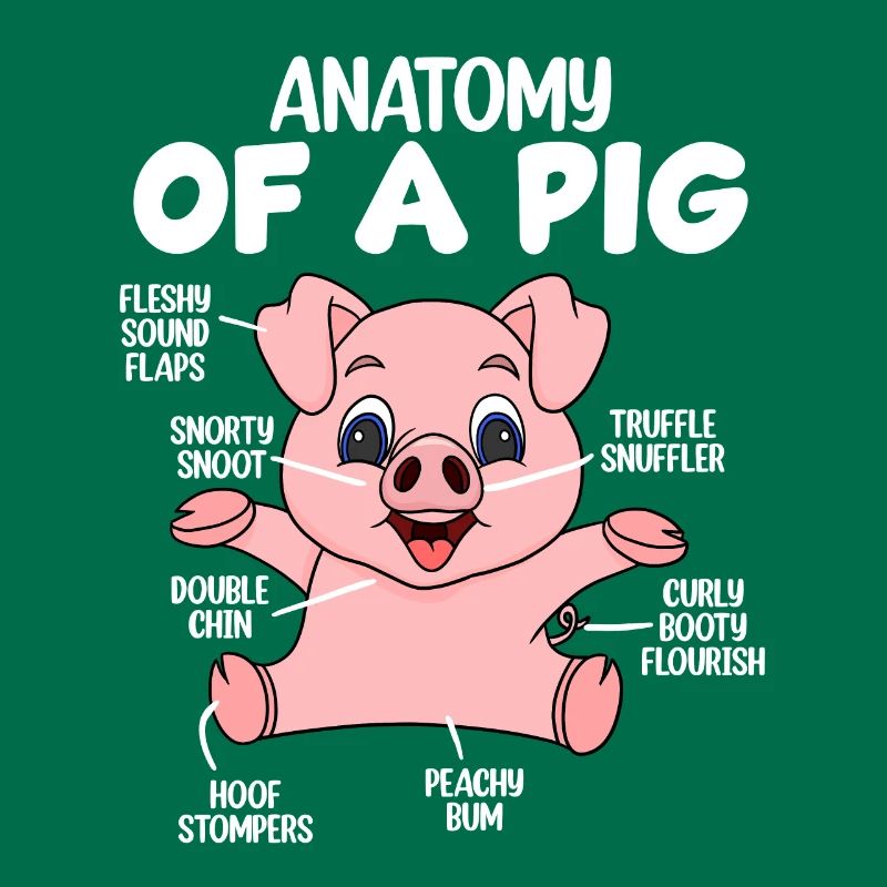 Anatomie eines Schweins