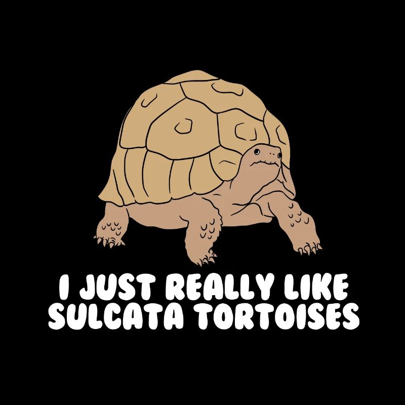 Sulcata turtles