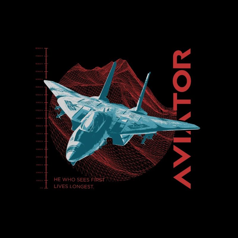 Aviator F-14 Tomcat