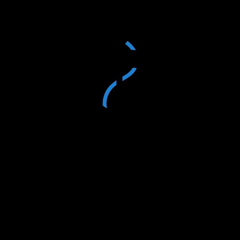 Skipper