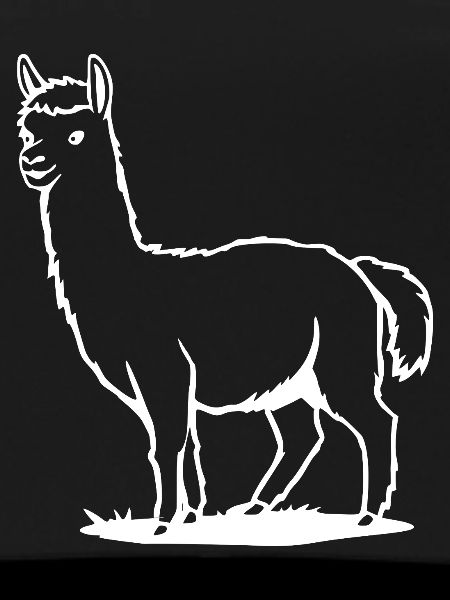 Alpaca T-shirt Gift