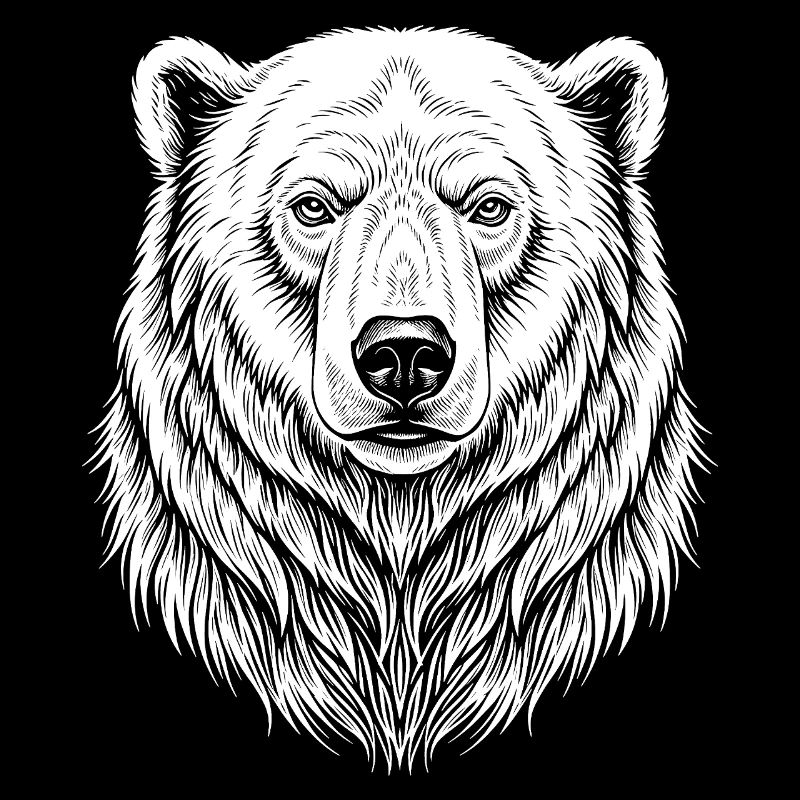Bear Line Drawing