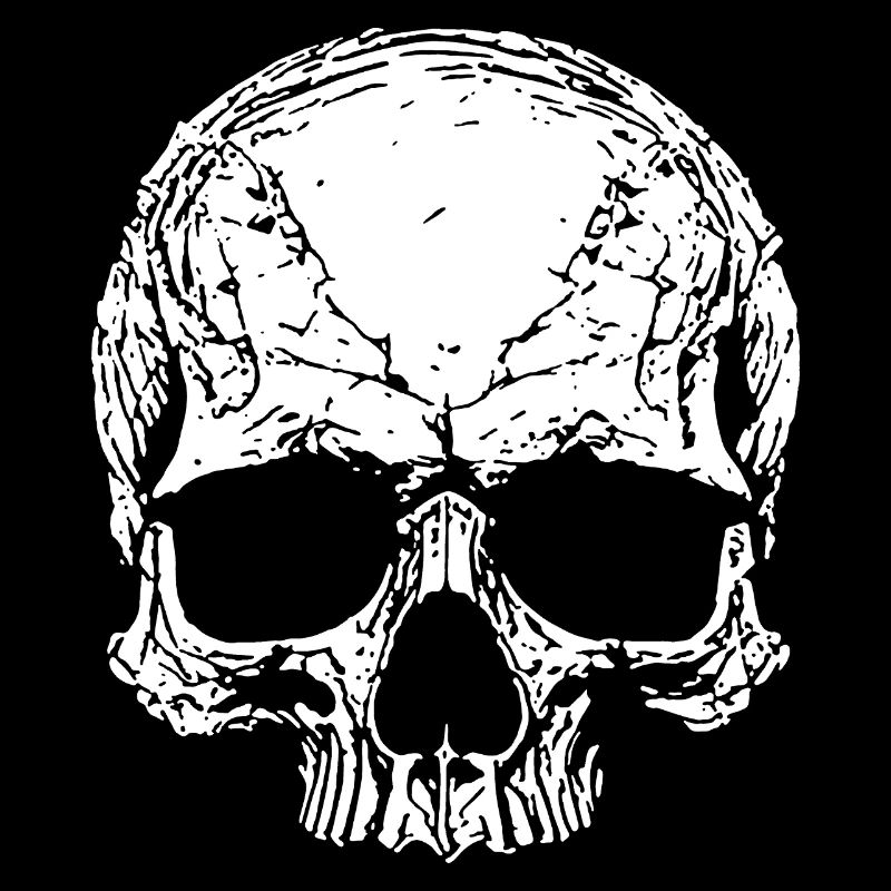 Skull Silhouette