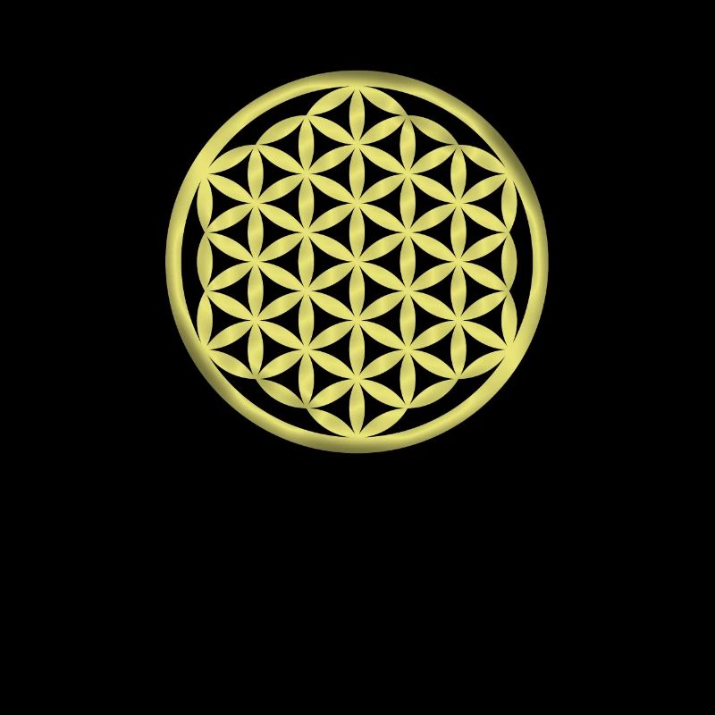 Fleur de vie / Fleur de vie / Fleur de vie